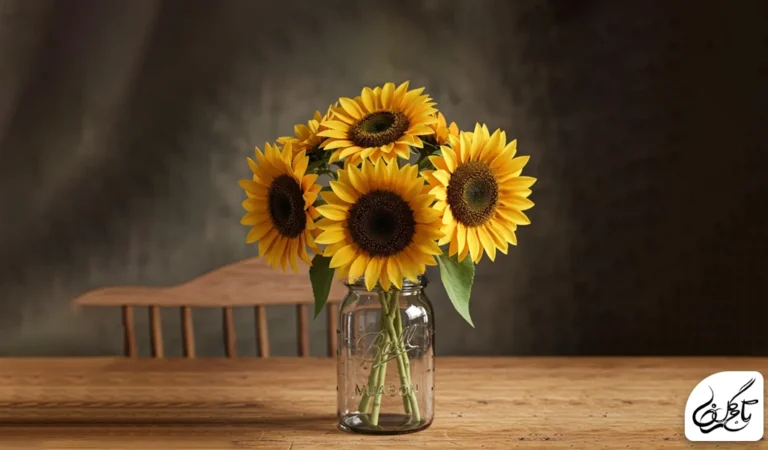 گل آفتابگردان